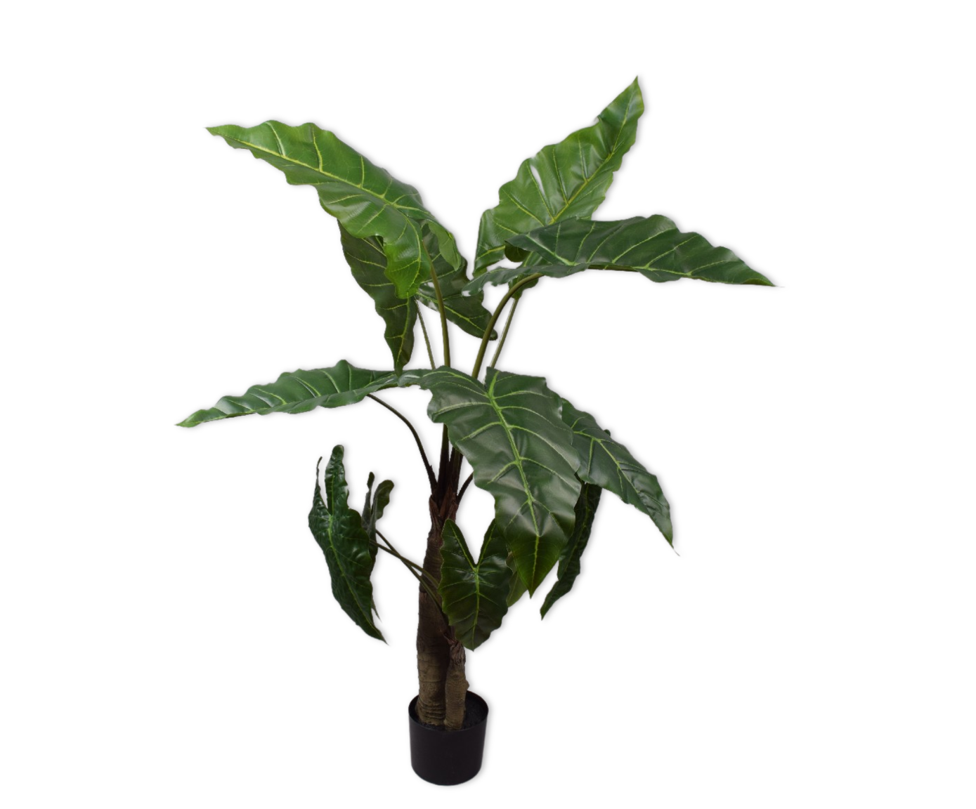 ALOCASIA I/POT GREEN  121 CM