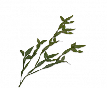 PLANT HANG CACTUS GREEN  115 CM