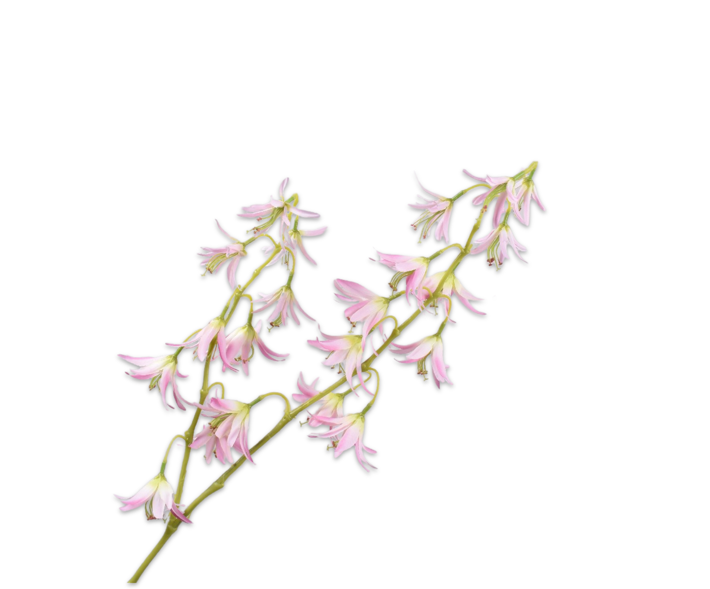 LILIUM RAMO ROSA  89 CM