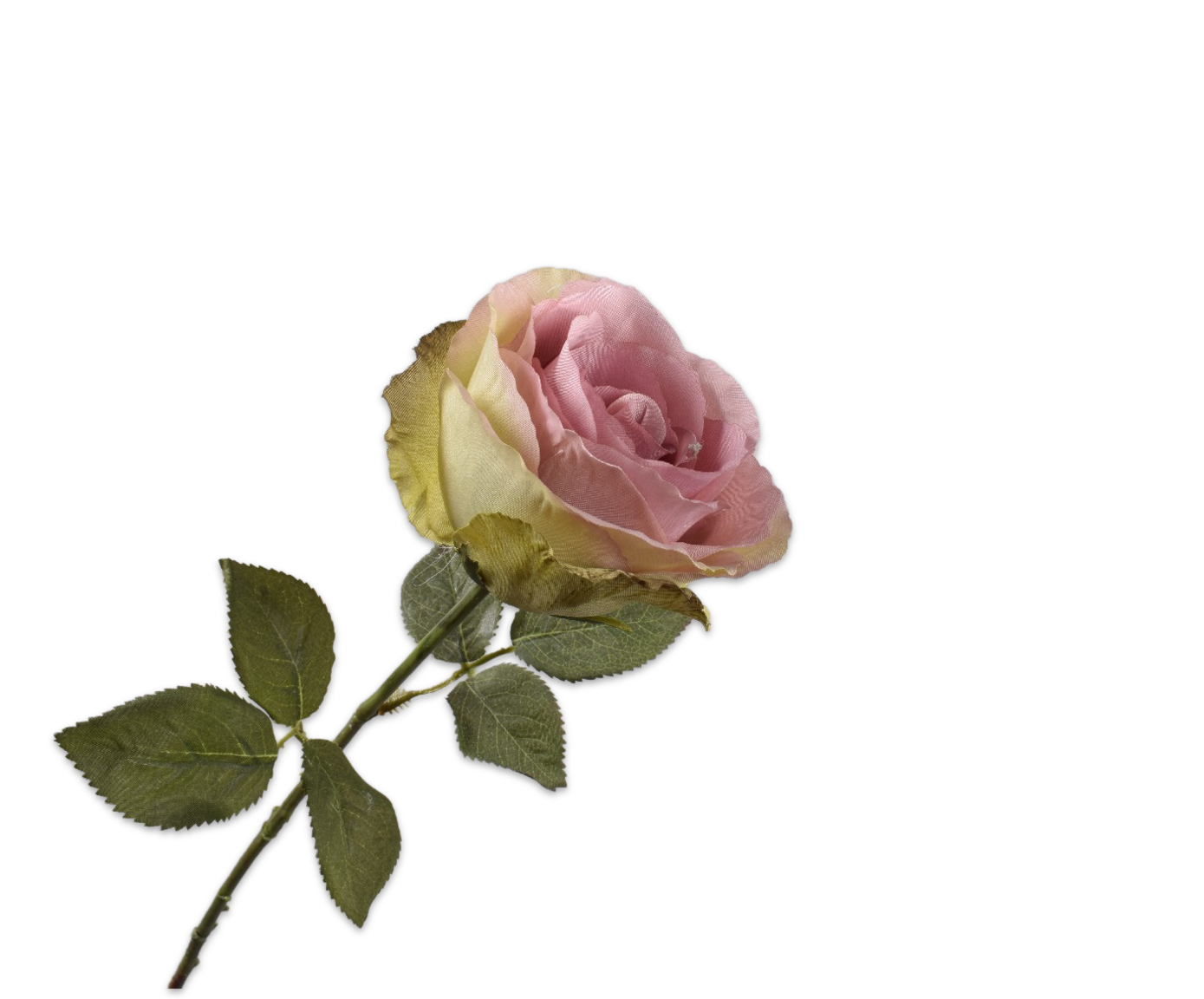 ROSA TALLO LIL/VER  66 CM