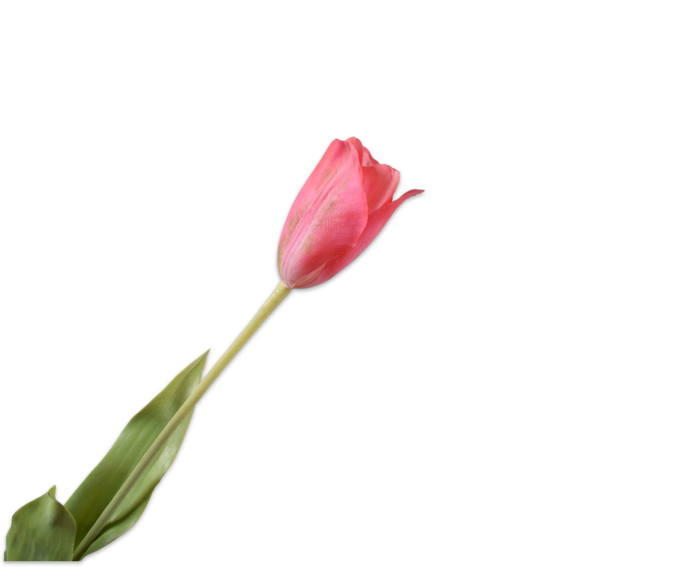 TULP STEEL ROZ/GL RT 72 cm