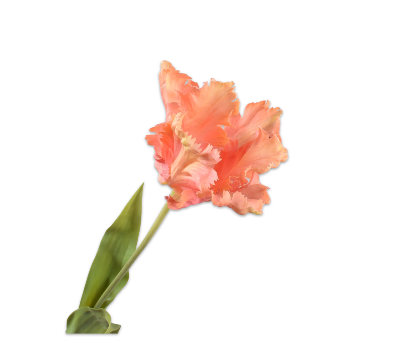 TULIP STEM PEACH  71 CM
