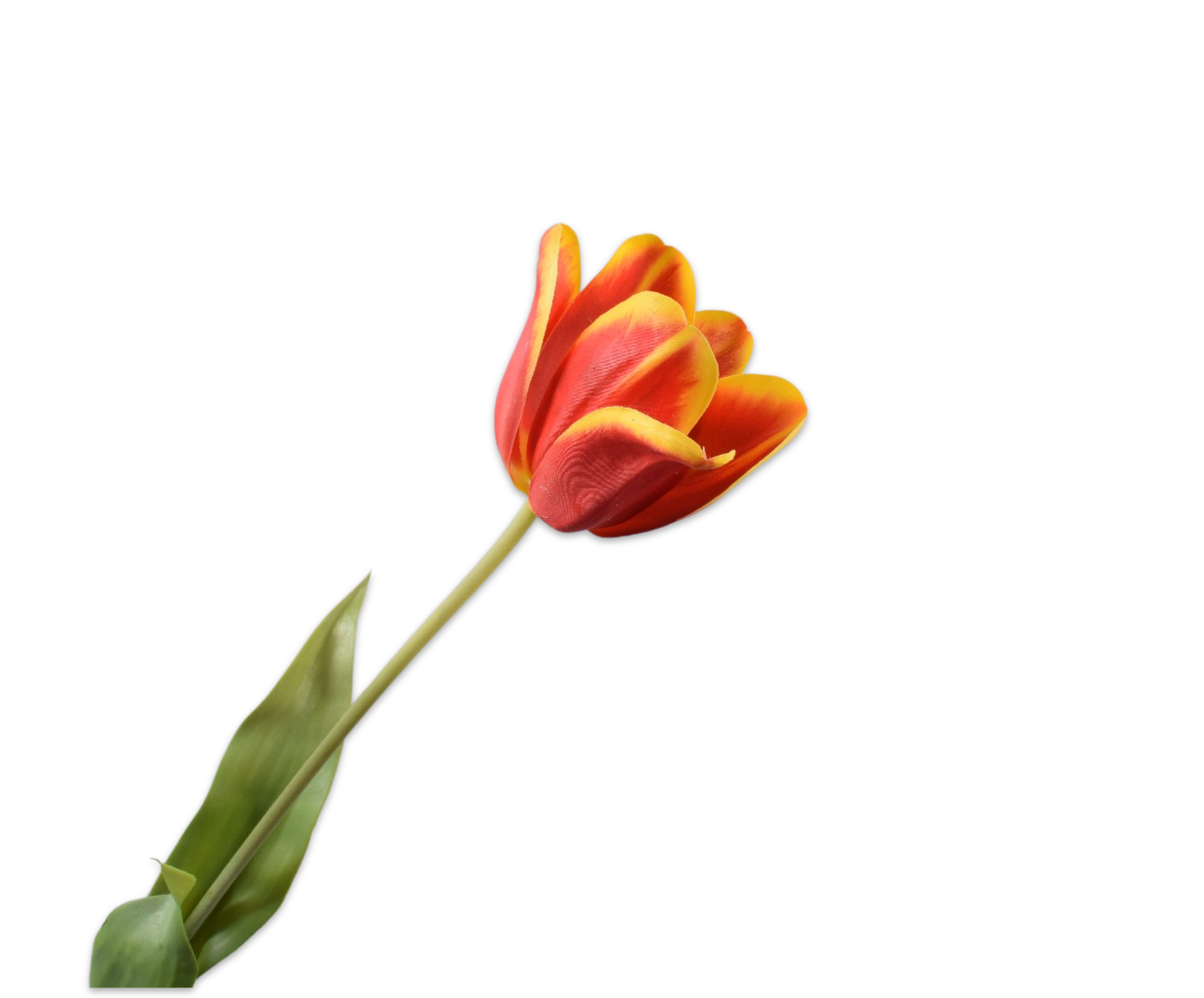 TULIP STEM RD/YL RT  71 CM