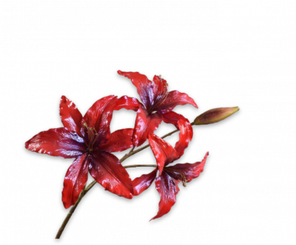 LILY ACRYL RED  108 CM