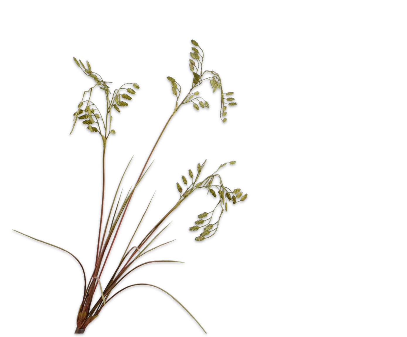 GRASS SPRAY GREEN 102 CM