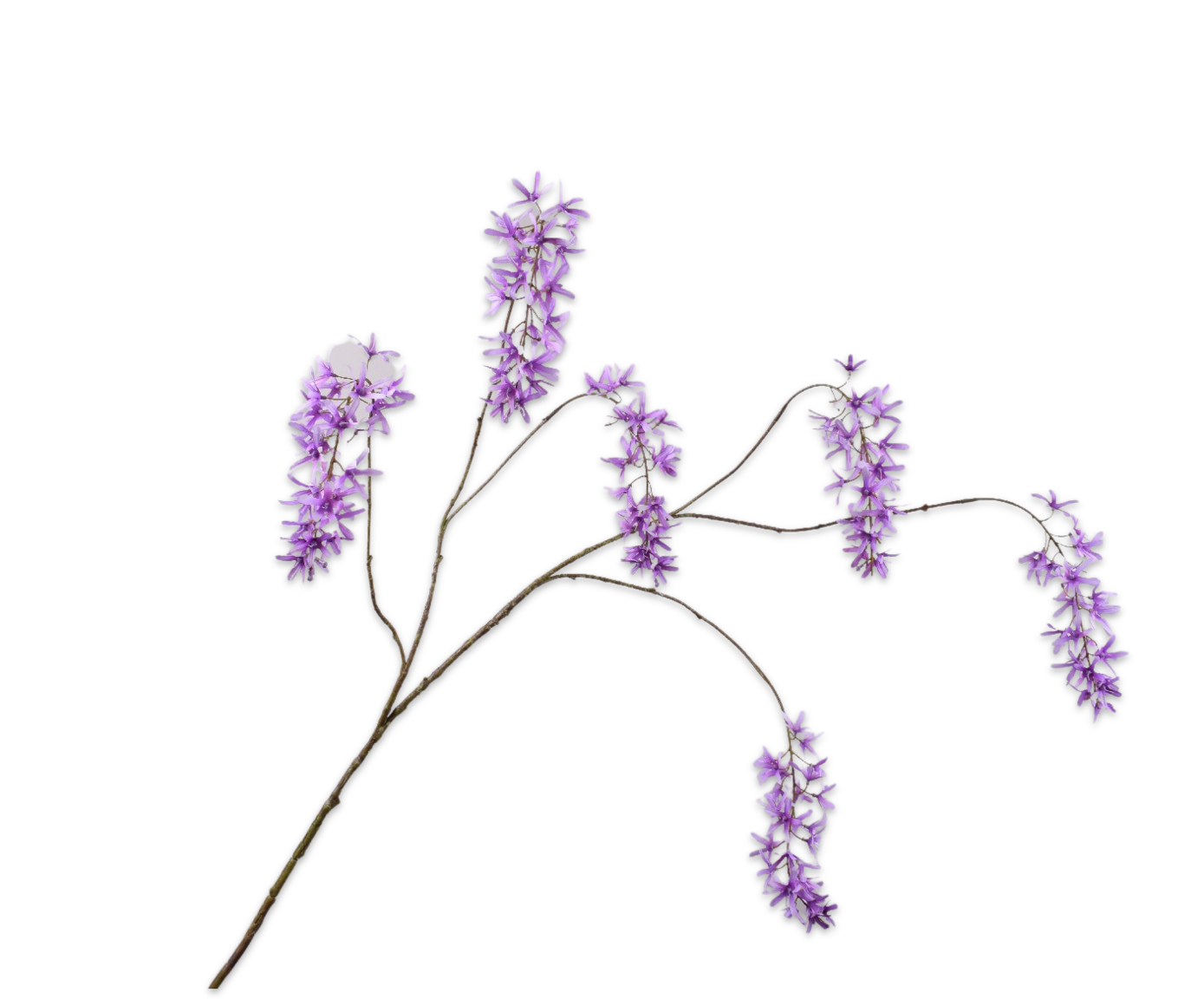 GLICINIA RAMA VIOLETA  133 CM