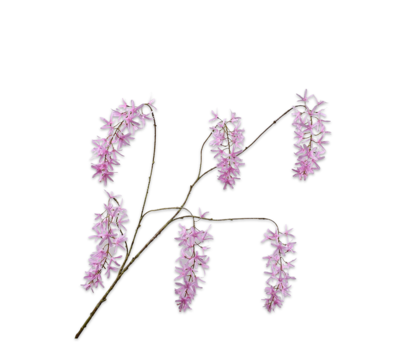 GLICINIA RAMA ROSA  133 CM