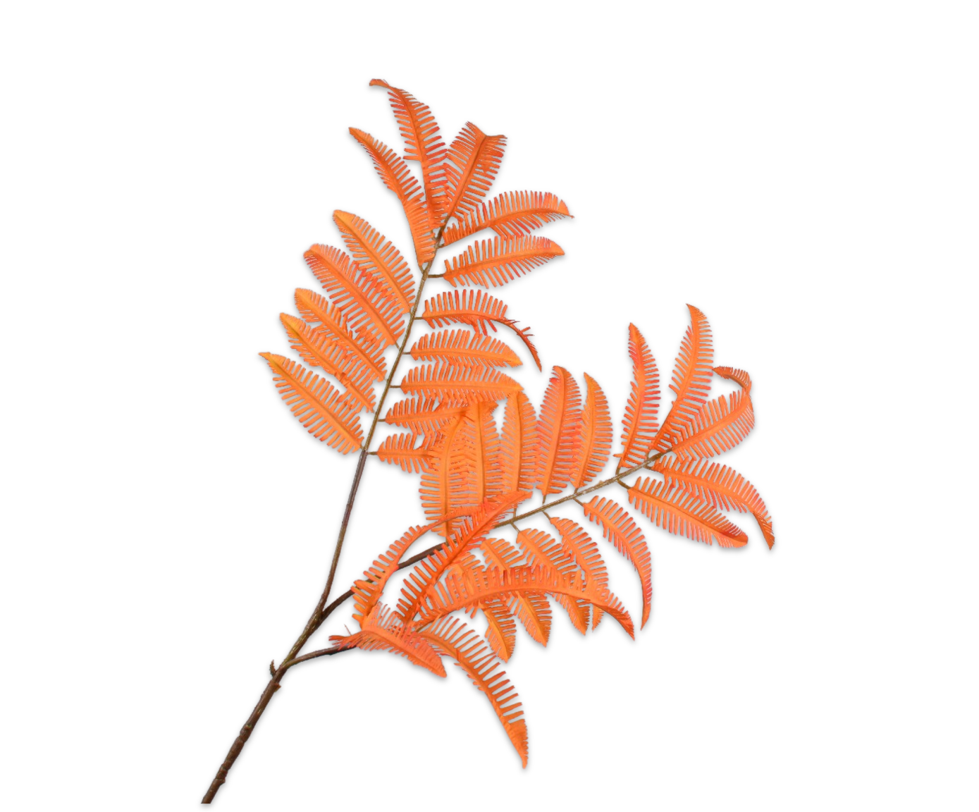 HELECHO RAMA NARANJA  111 CM