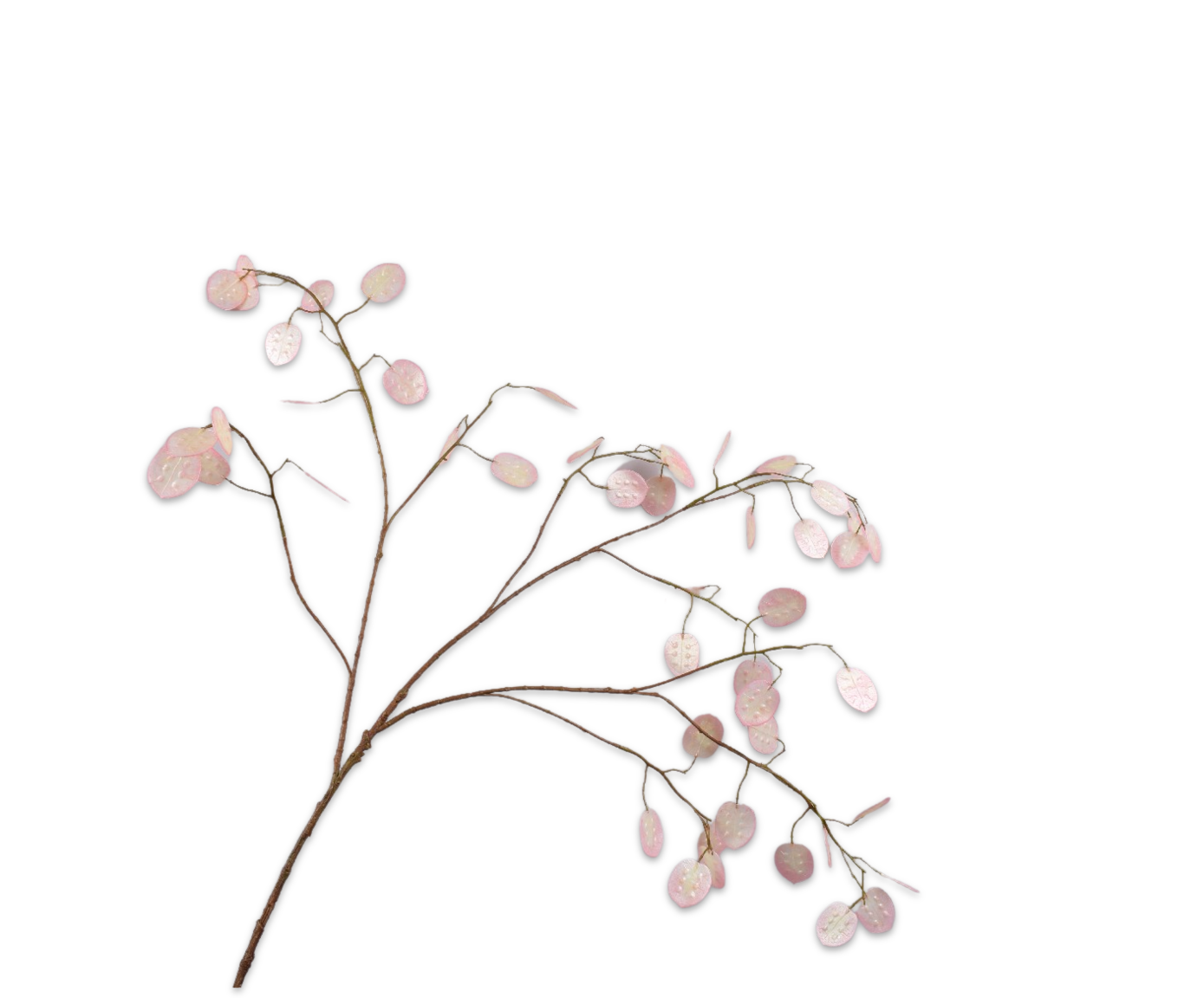 LUNARIA RAMA ROSA CLA  110 CM