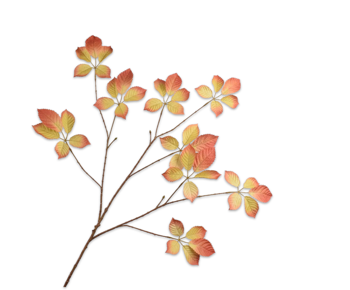 LEAF SPRAY  BUR/GRN  103 CM