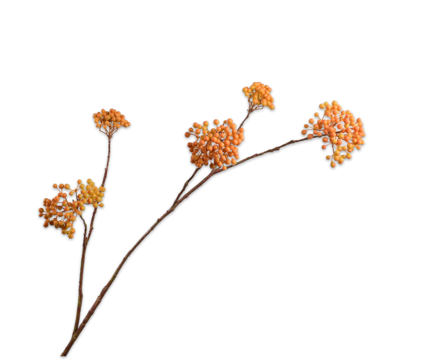 BESSENTAK  ORA/GL 120 cm