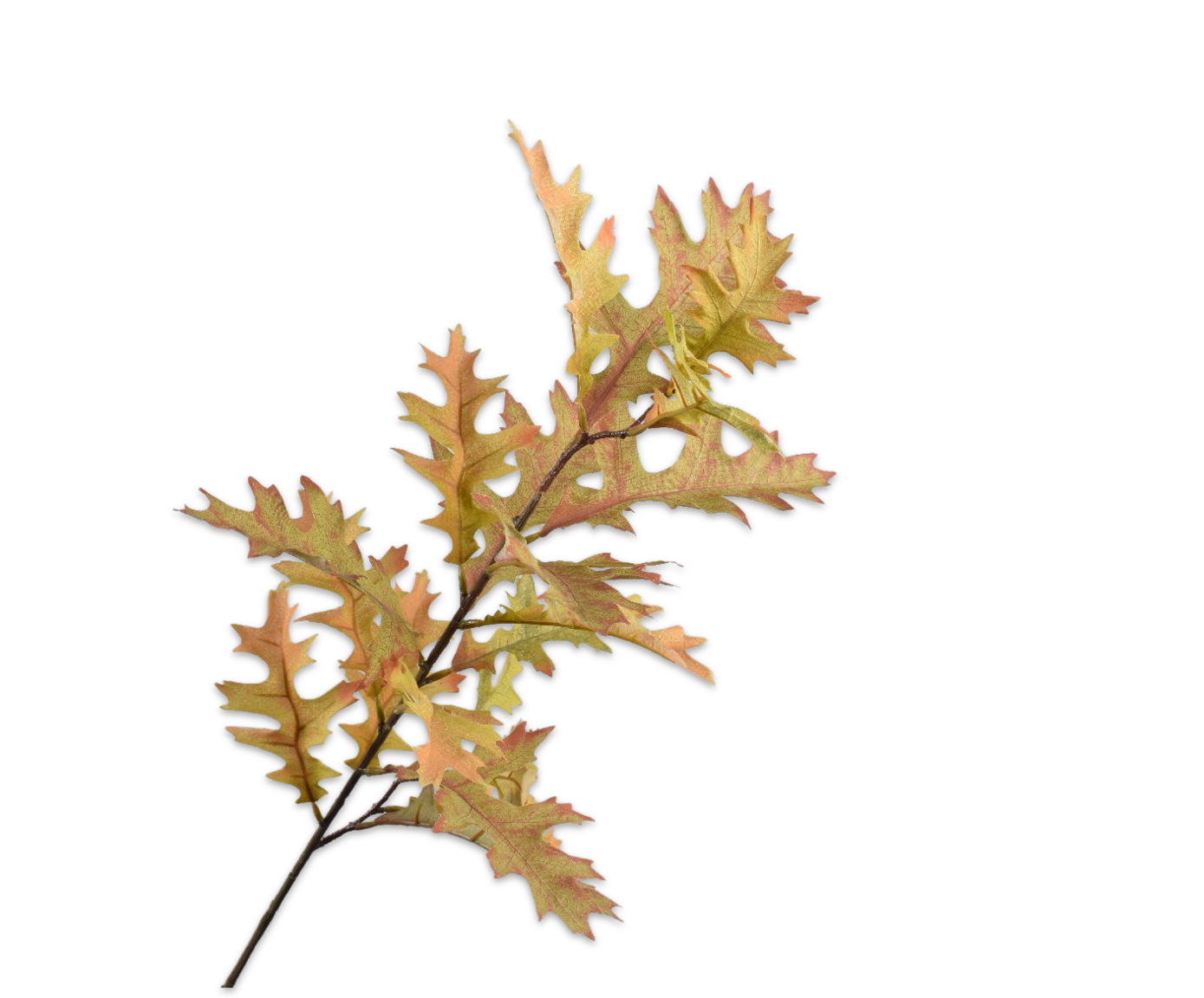 EICHENBLATT&#x20;ZWEIG&#x20;GR&#xDC;N&#x20;&#x20;75&#x20;CM