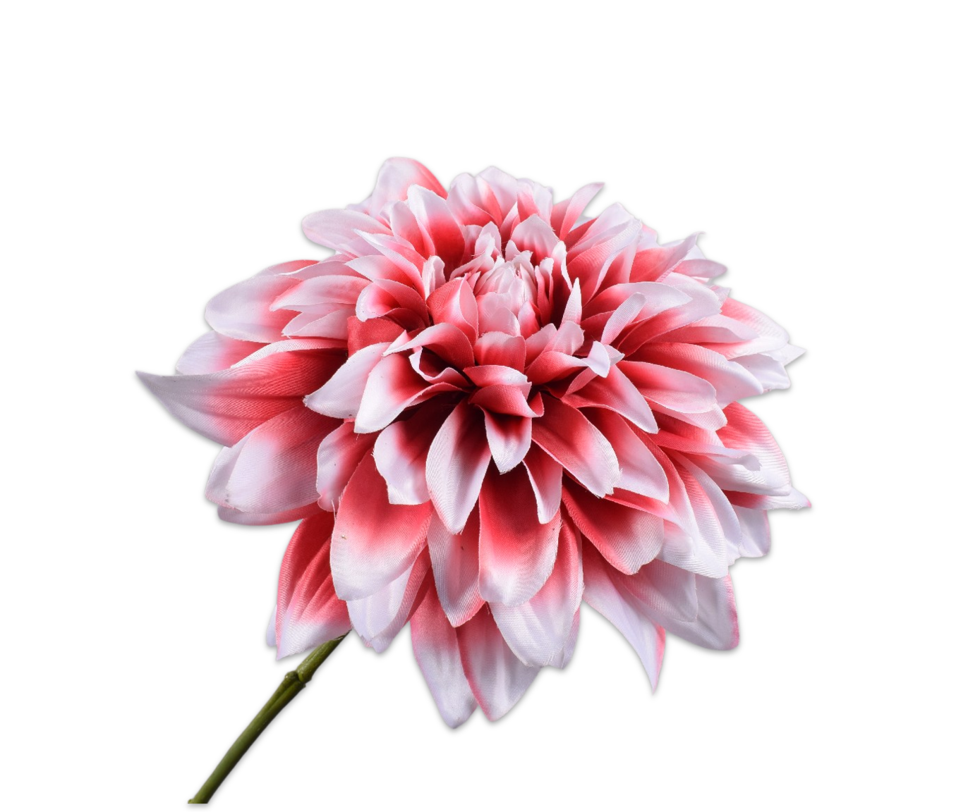 DAHLIA STEEL ROZE 73 cm