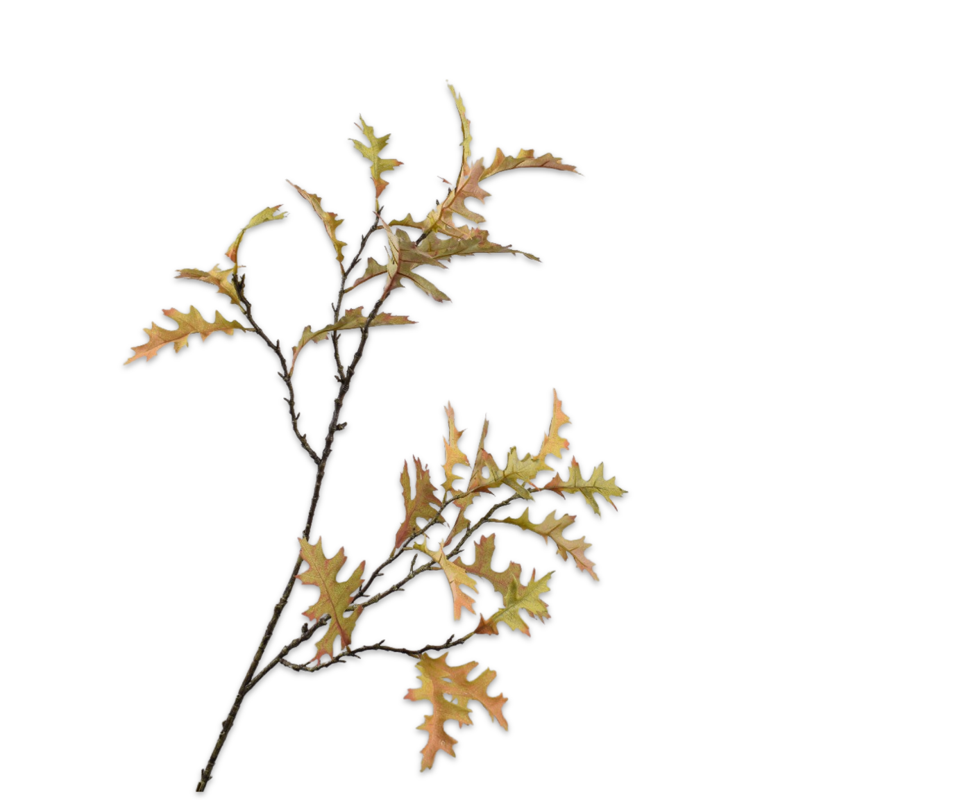 EICHENBLATT&#x20;ZWEIG&#x20;GR&#xDC;N&#x20;&#x20;110&#x20;CM