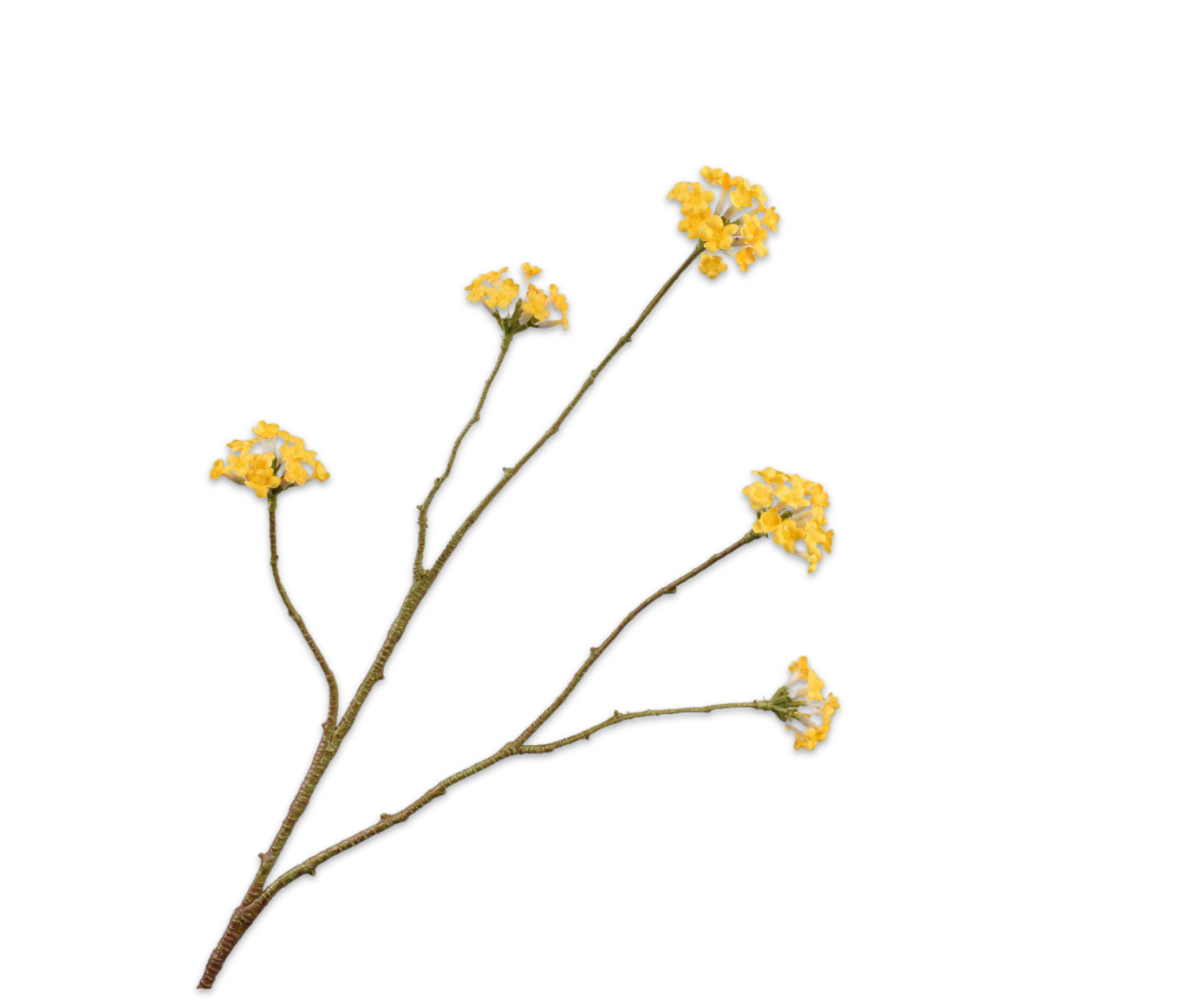 BLOSSOM SPRAY YELLOW  67 CM