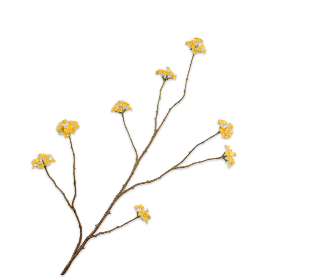 BLOSSOM SPRAY YELLOW  107 CM