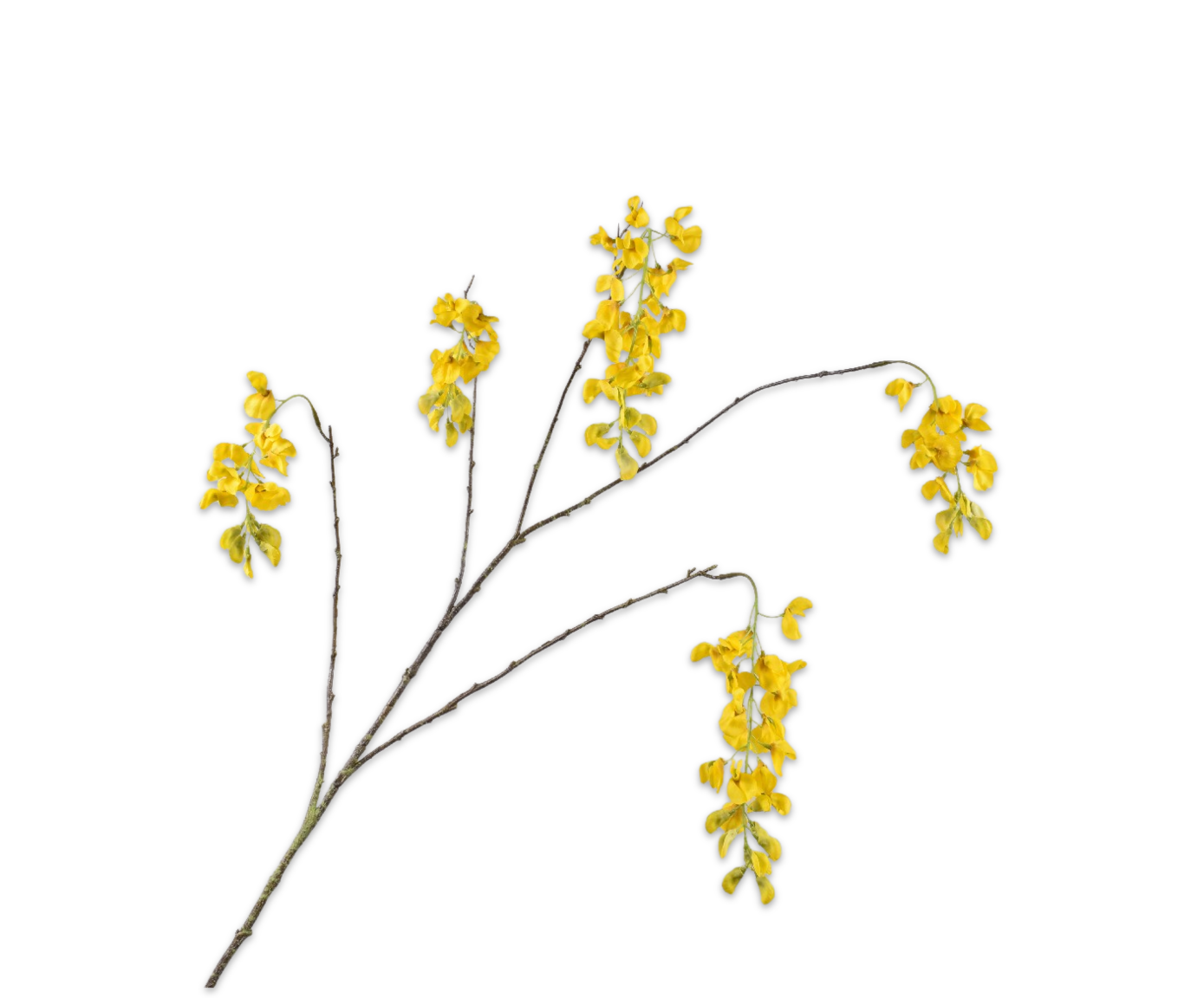 WISTERIA&#x20;TAK&#x20;GEEL&#x20;129&#x20;cm