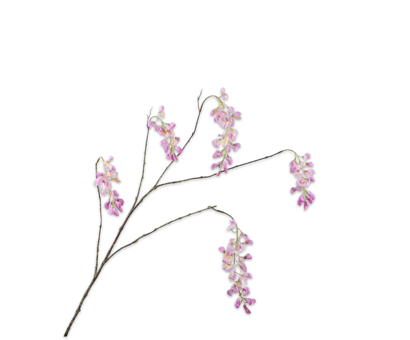 WISTERIA&#x20;TAK&#x20;ROZE&#x20;129&#x20;cm