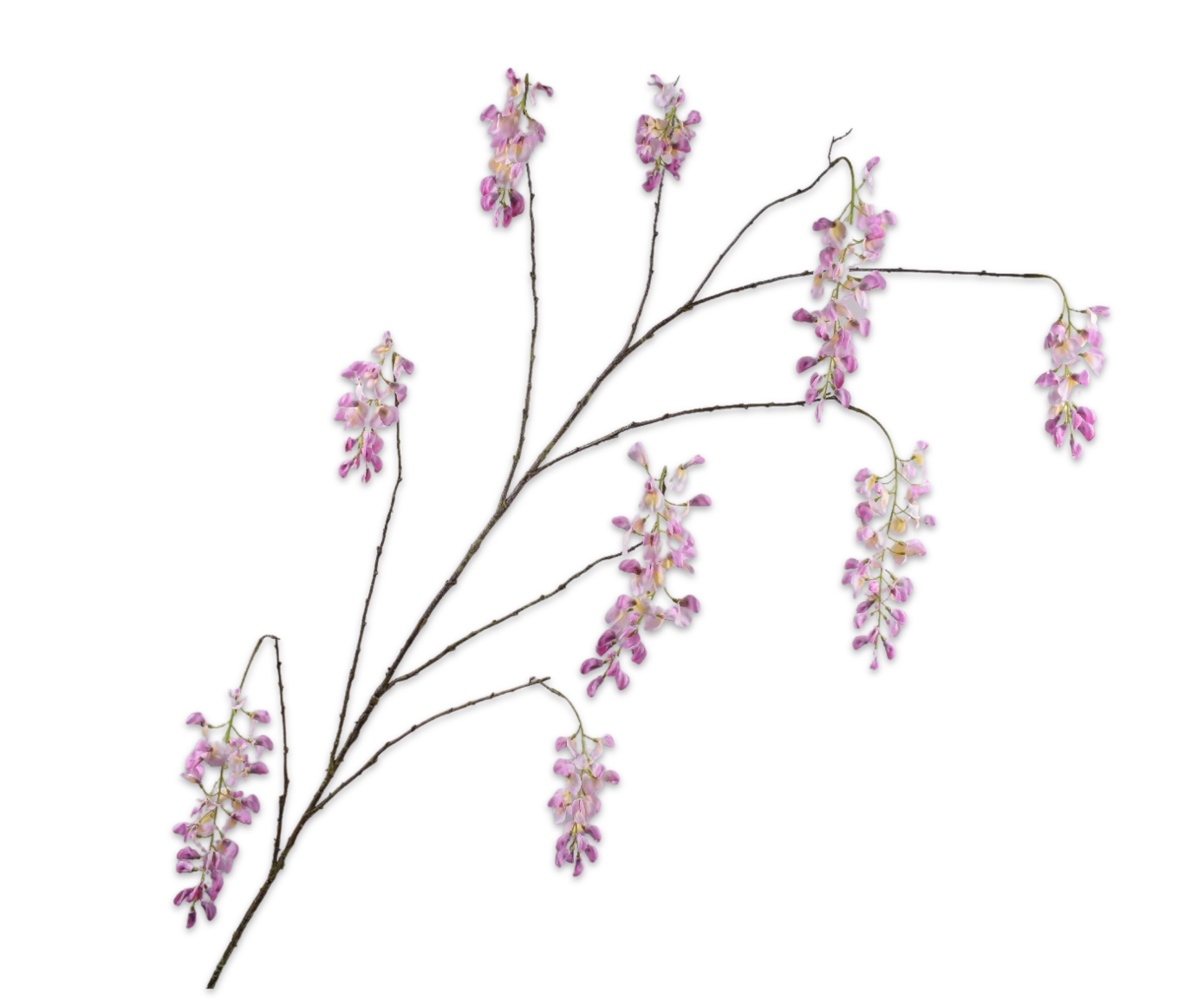 WISTERIA&#x20;TAK&#x20;ROZE&#x20;175&#x20;cm
