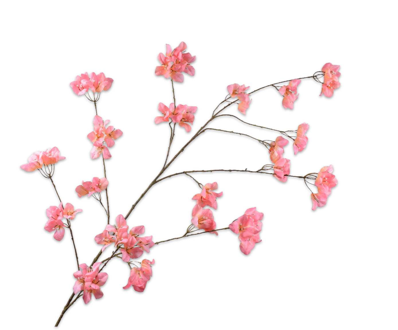 BOUGAINVILLEA&#x20;TAK&#x20;ZALM&#x20;168&#x20;cm