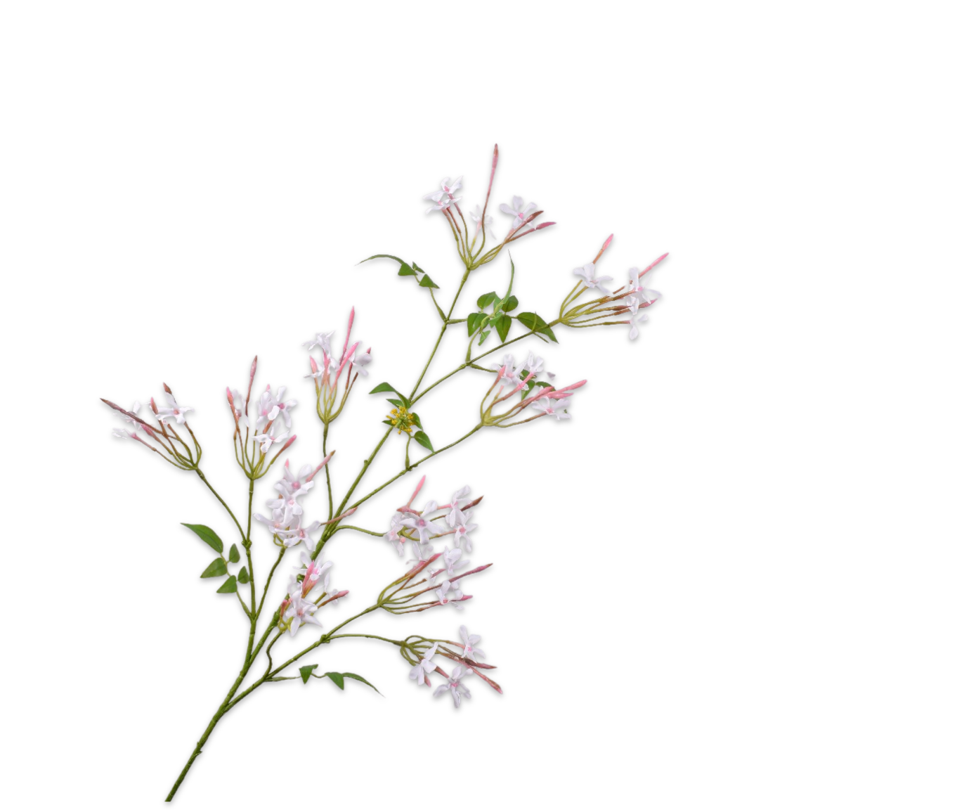 JASMINE SPRAY WHITE  101 CM