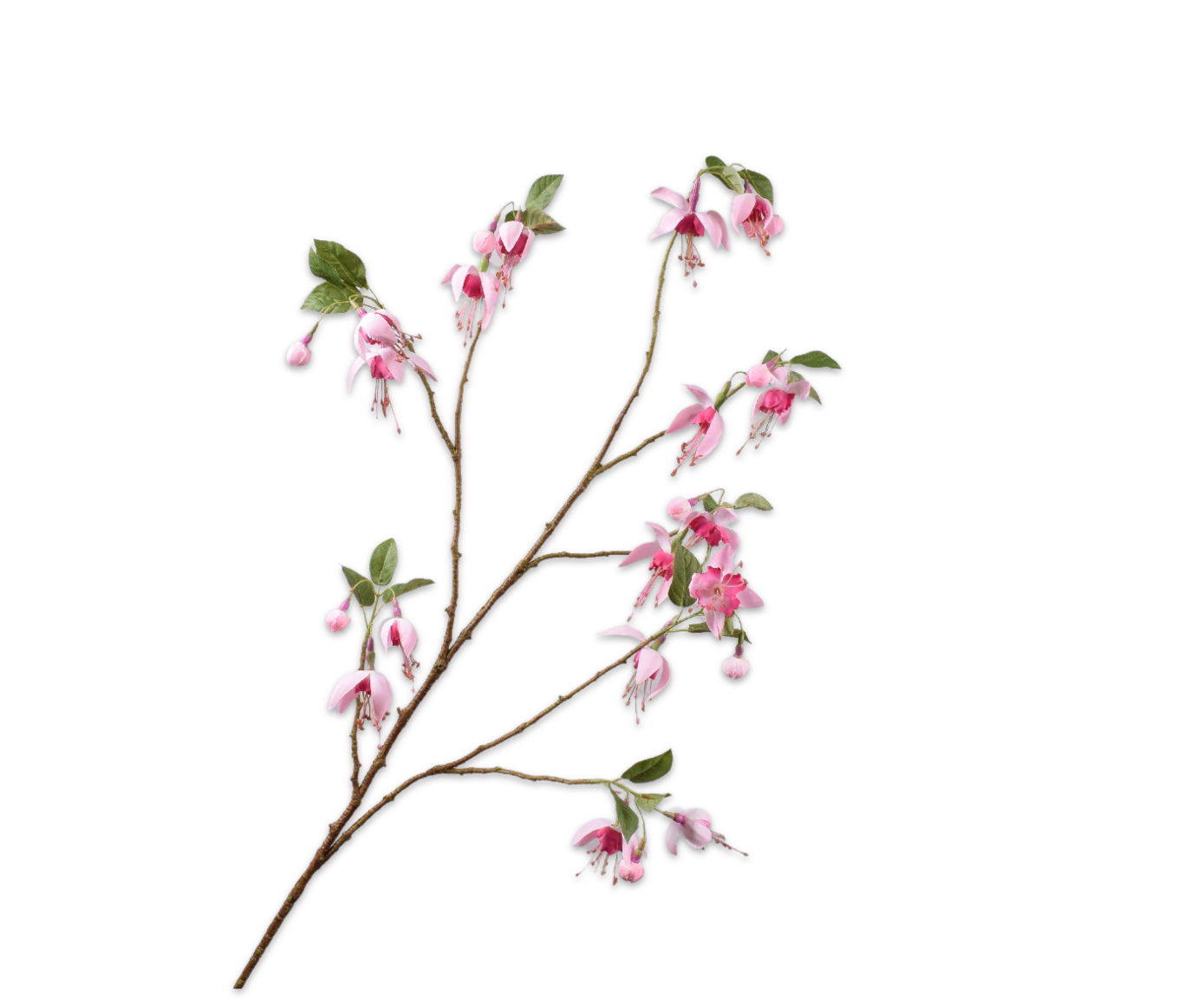 FUCHSIA TAK ROZE 118 cm