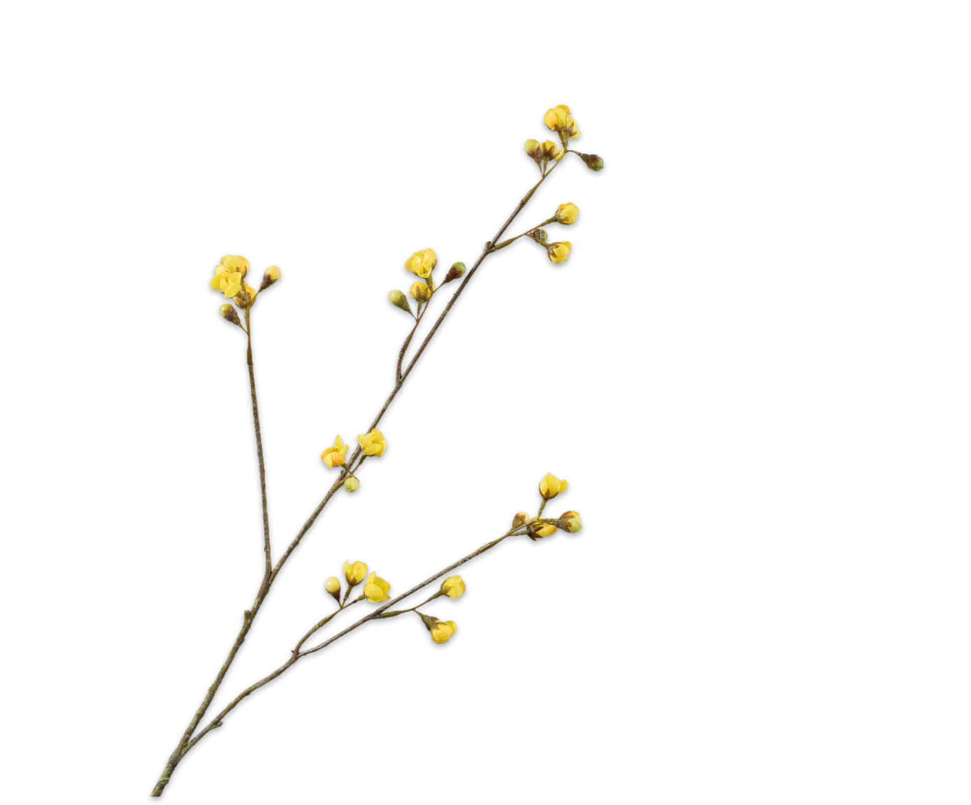 BLOESEM TAK GEEL 83 cm