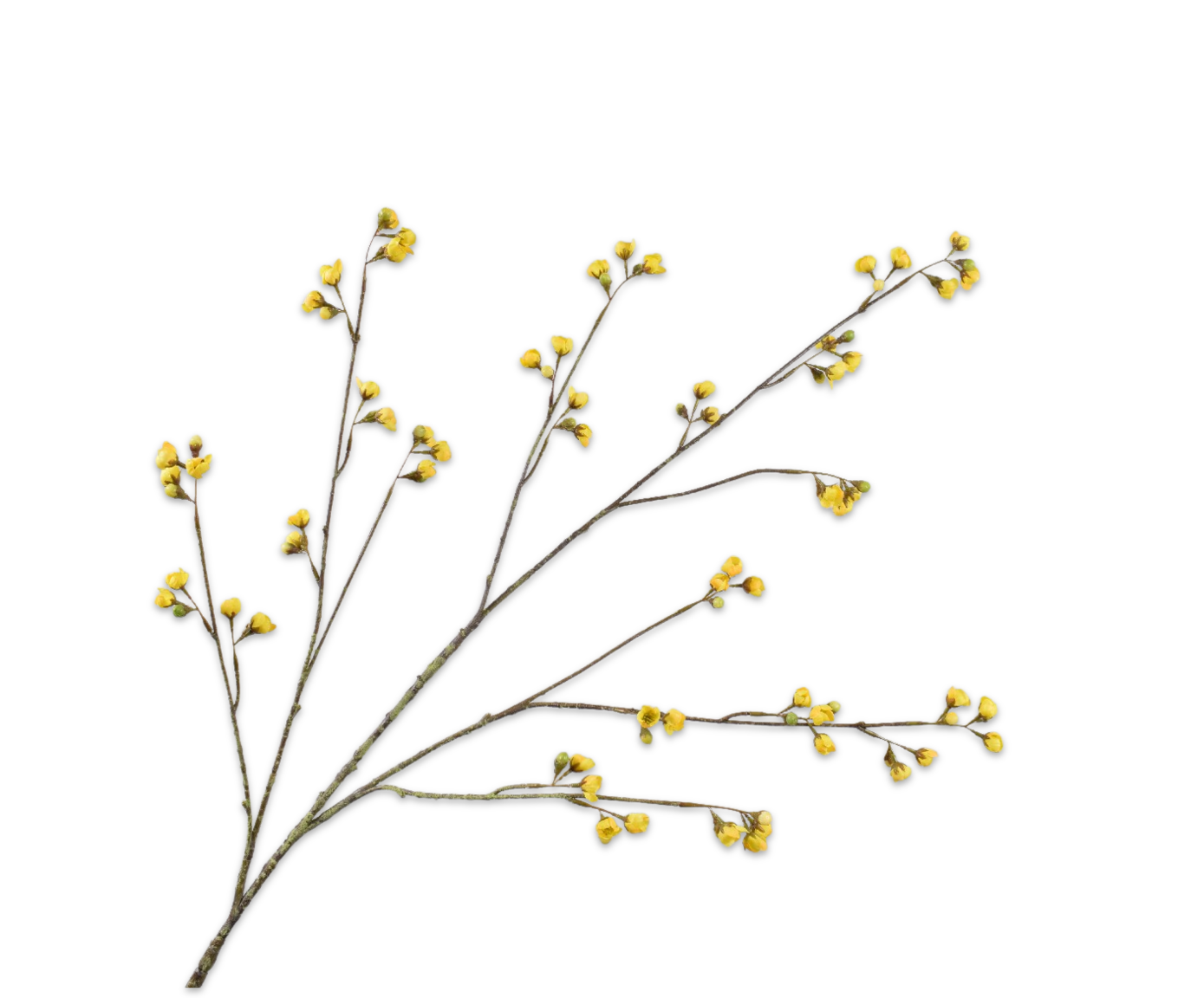 BLOESEM TAK GEEL 127 cm