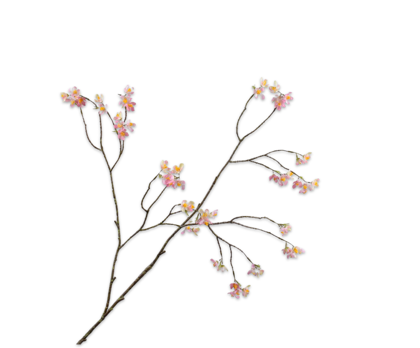 BLOESEM TAK ROZE 121 cm