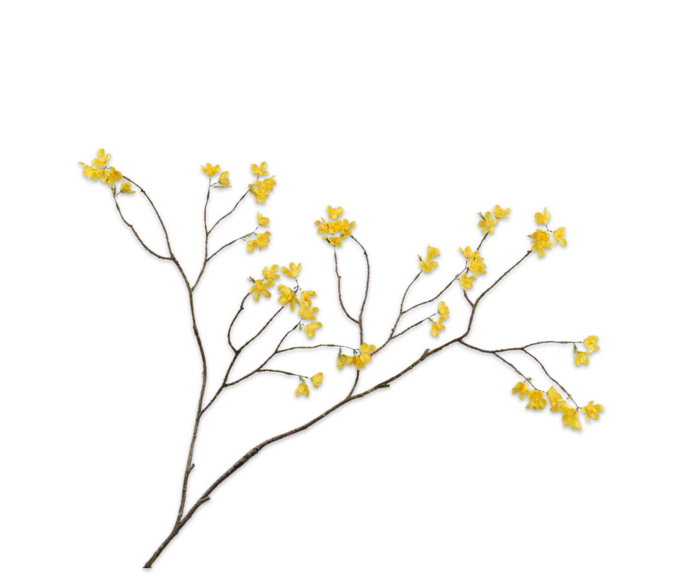 BLOESEM TAK GEEL 121 cm