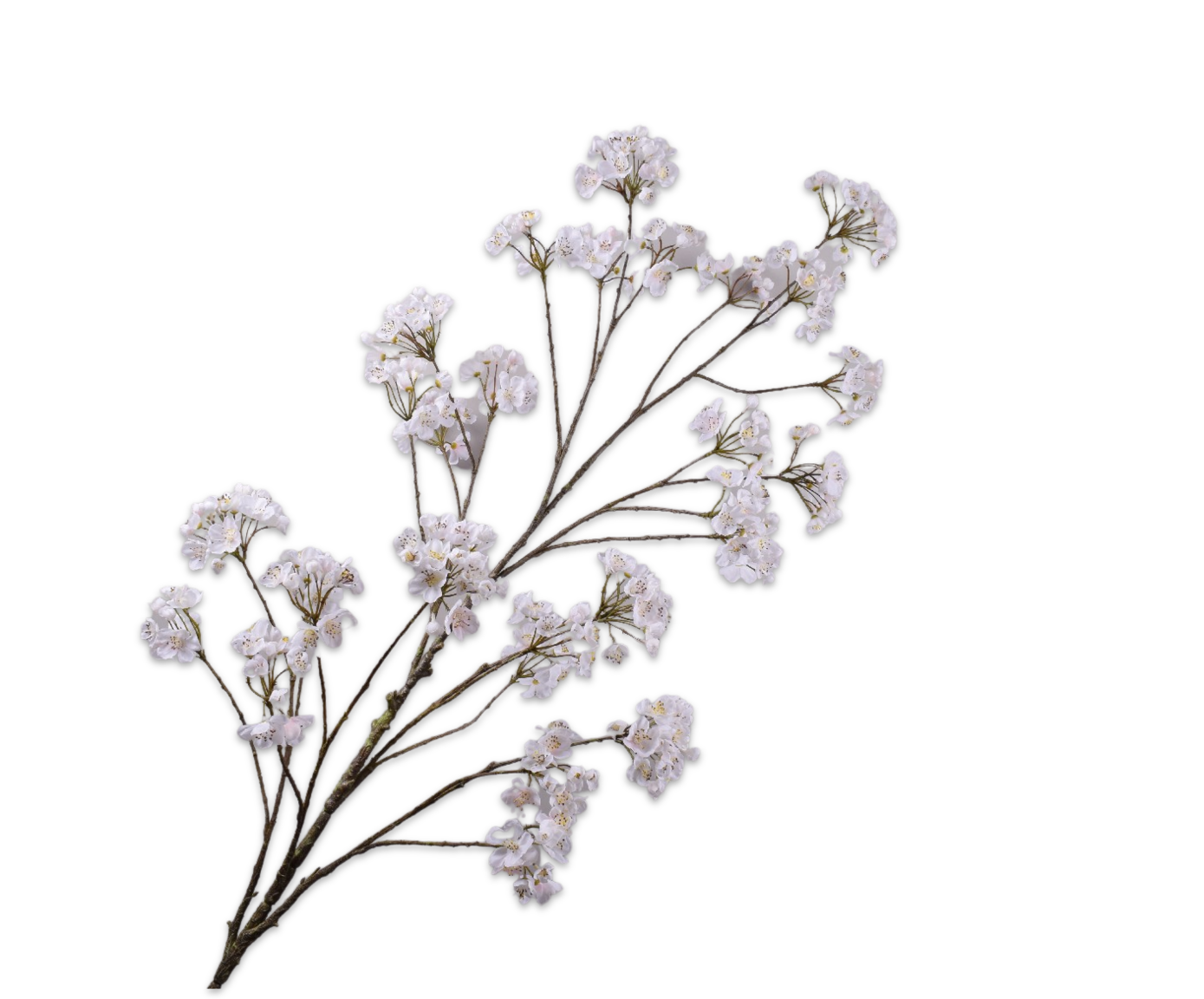 BLOESEM TAK CREME 184 cm