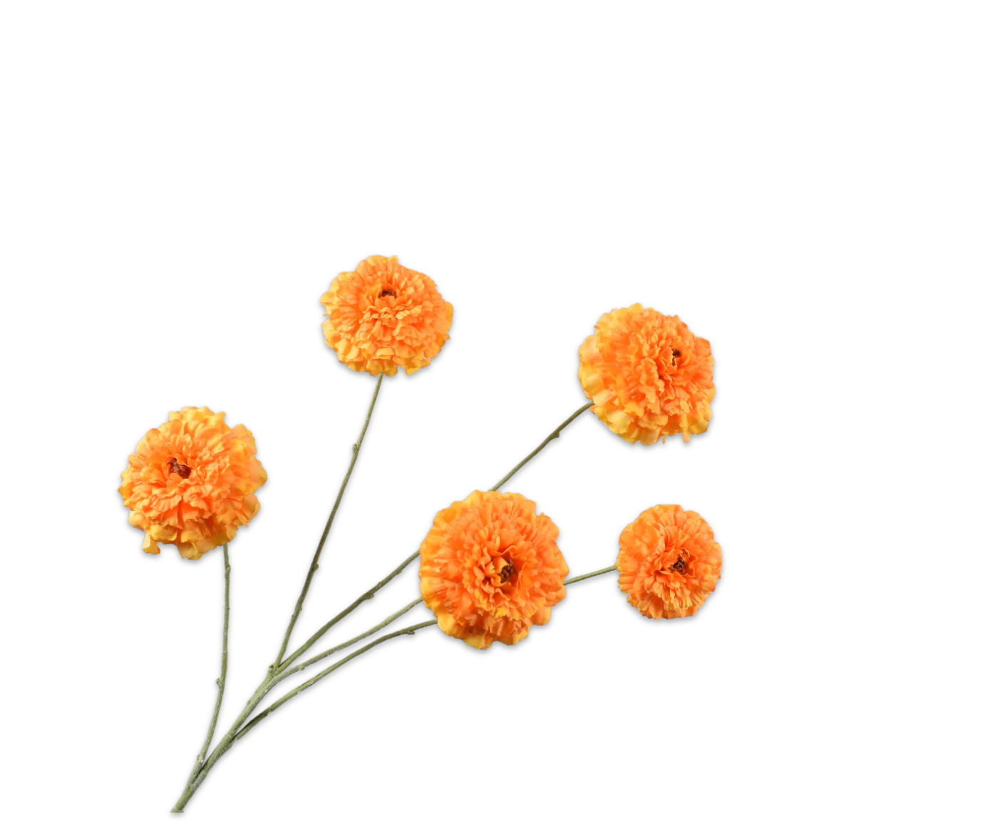 TAGETES RAMA NAR CLA  91 CM