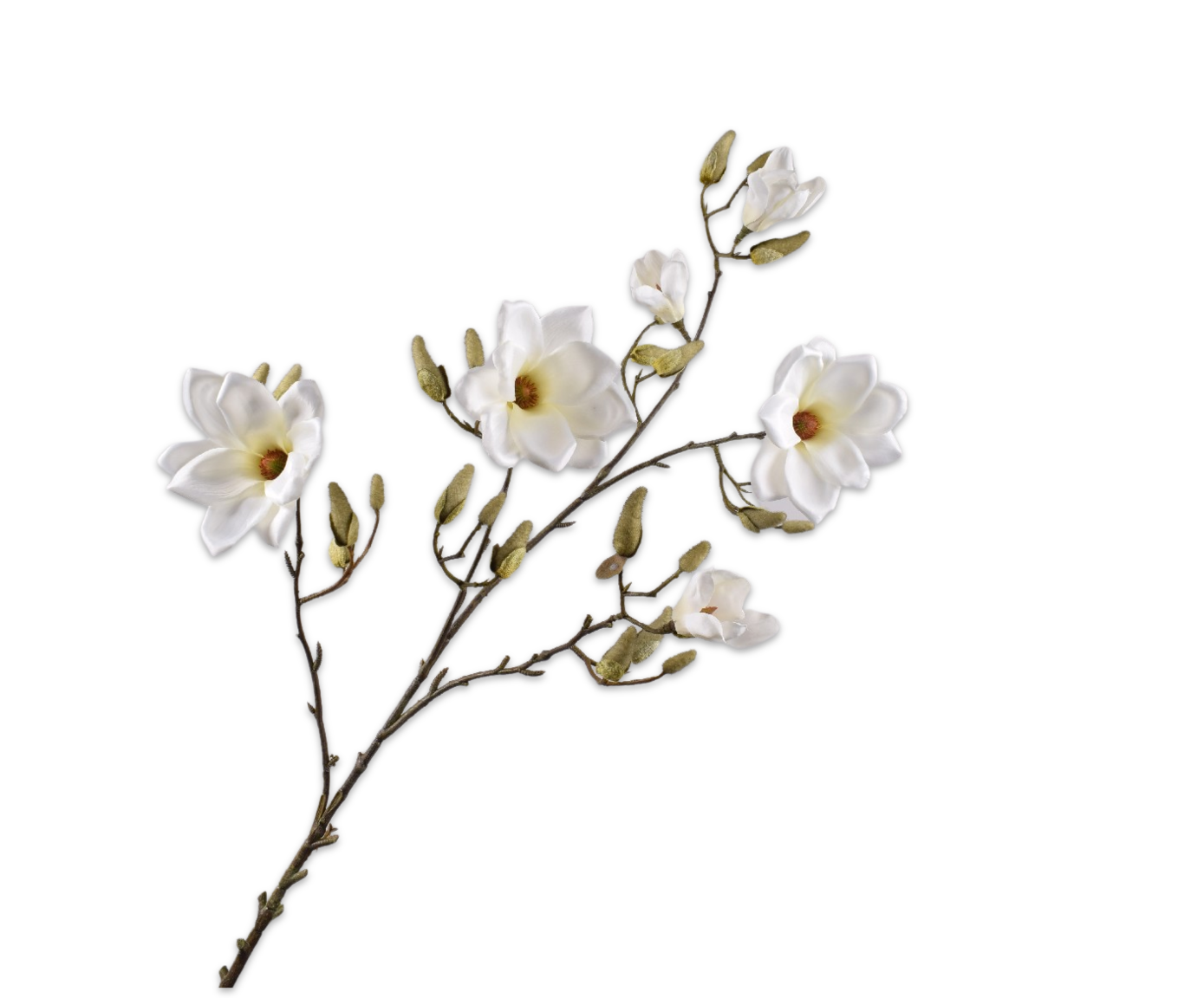 MAGNOLIA TAK CREME 138 cm