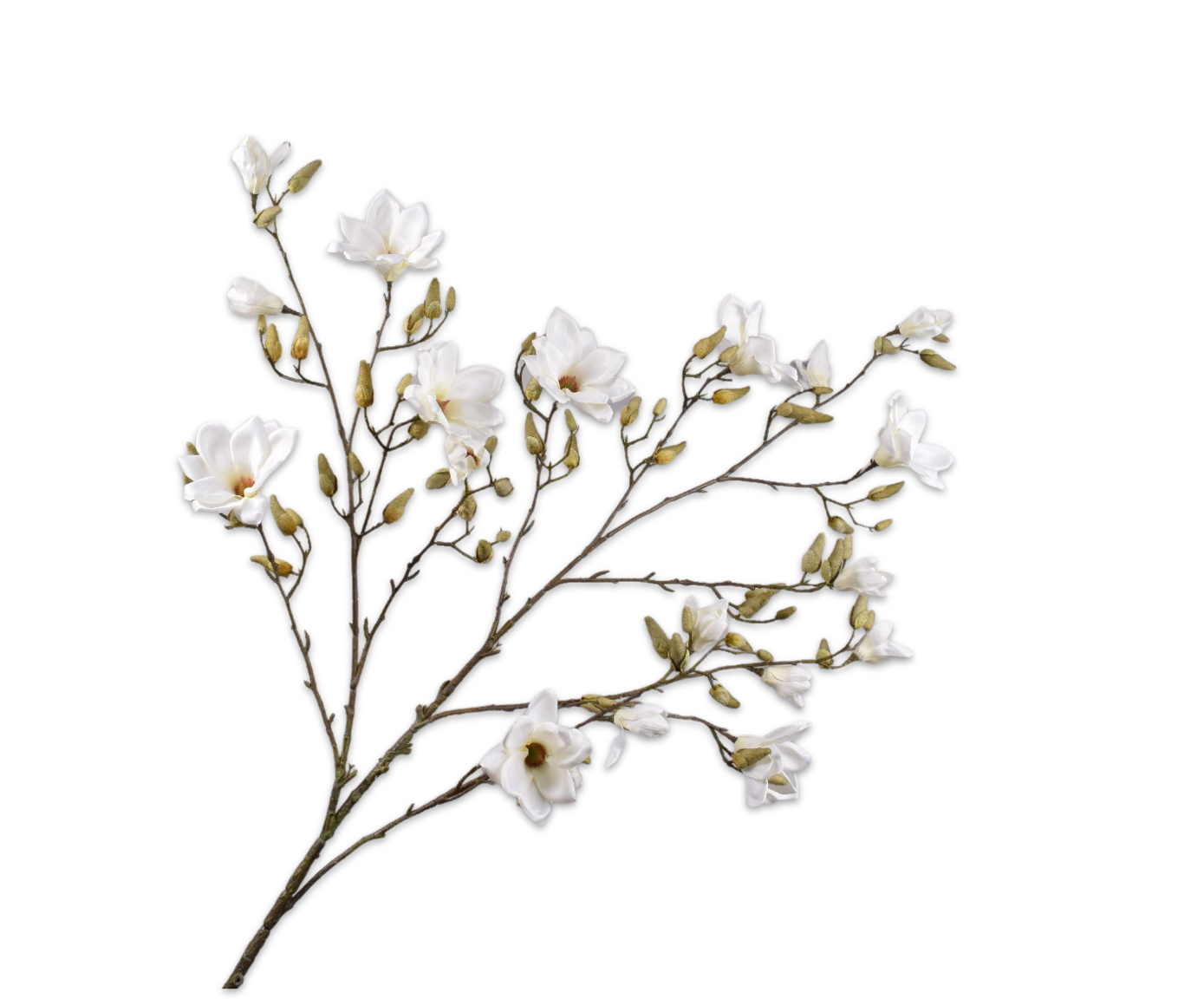 MAGNOLIA TAK CREME 191 cm