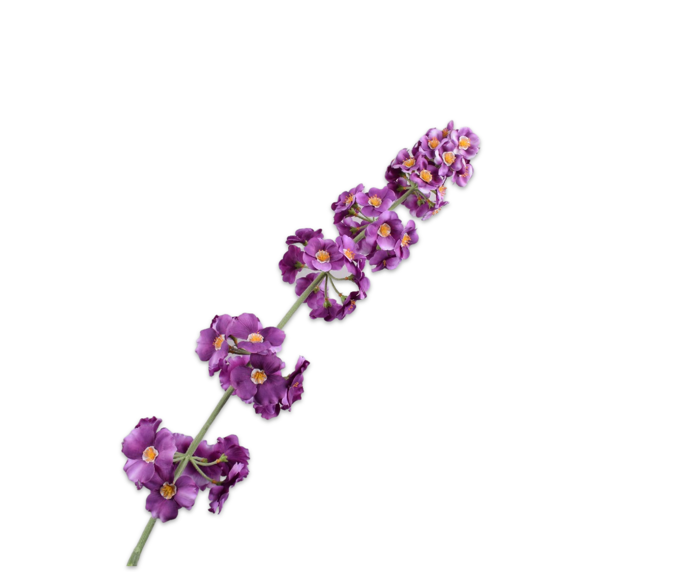 PRIMULA STEM LAV/CR  110 CM