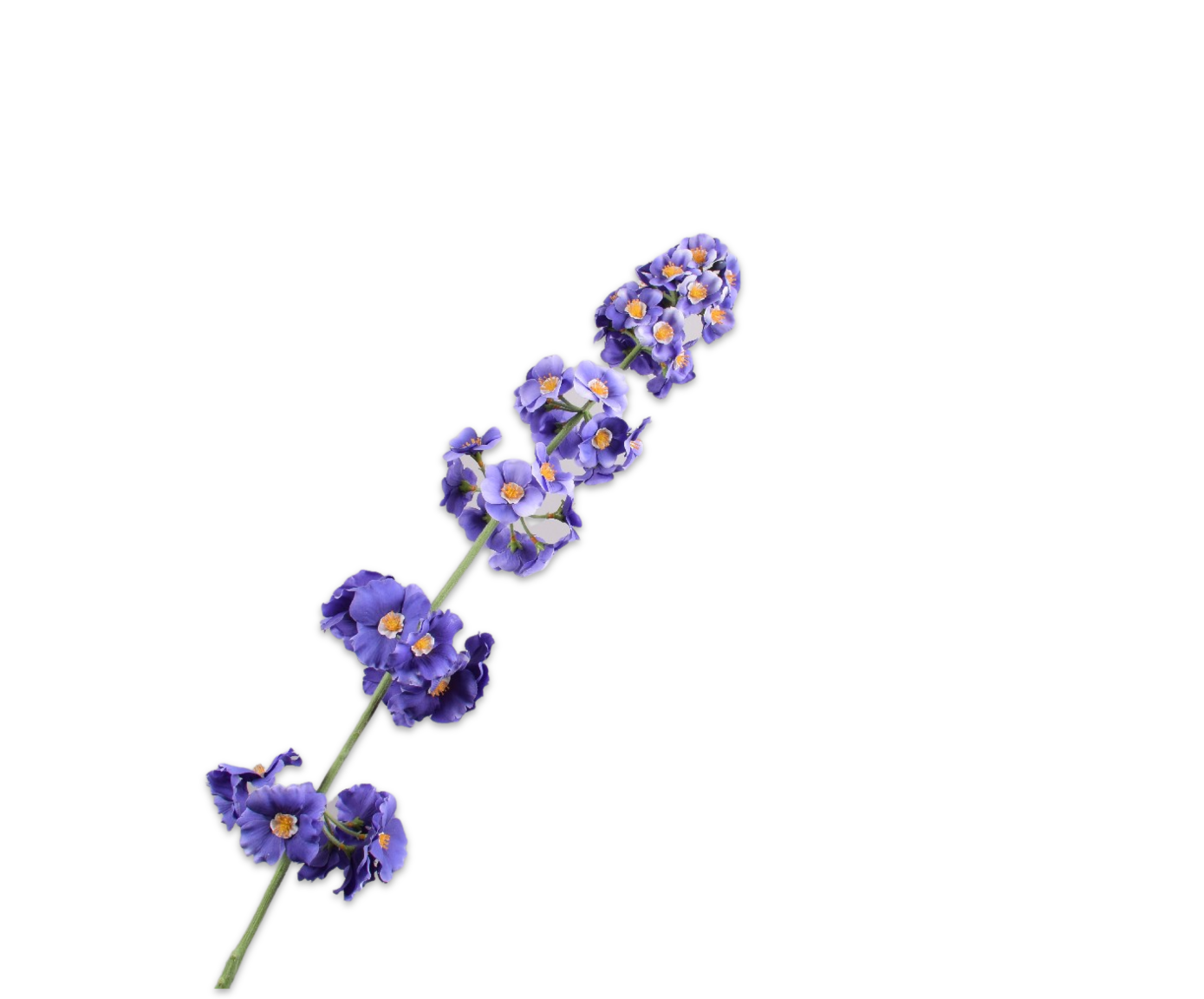 PRIMULA STEM PRP LT  110 CM