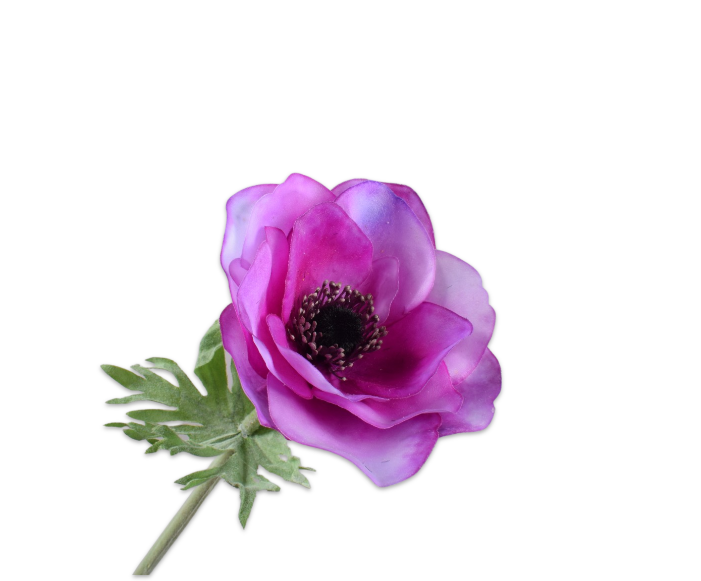 ANEMONE STIEL LILA RT  53 CM