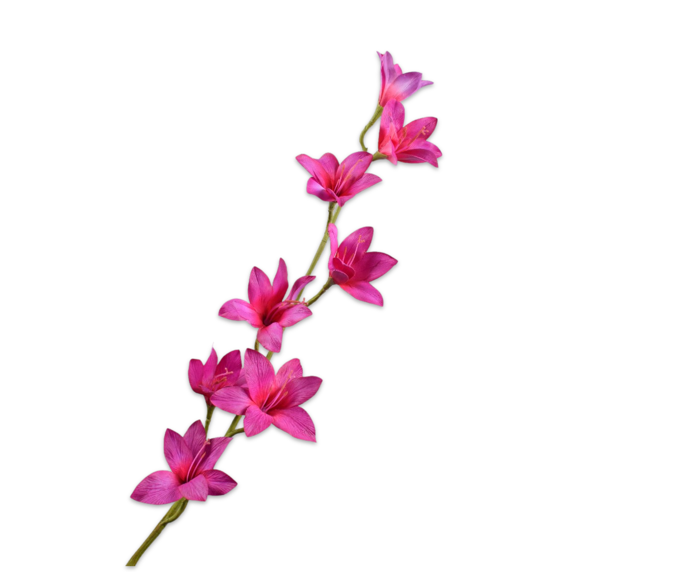 GLADIOLUS SPRAY BEAUTY  94 CM