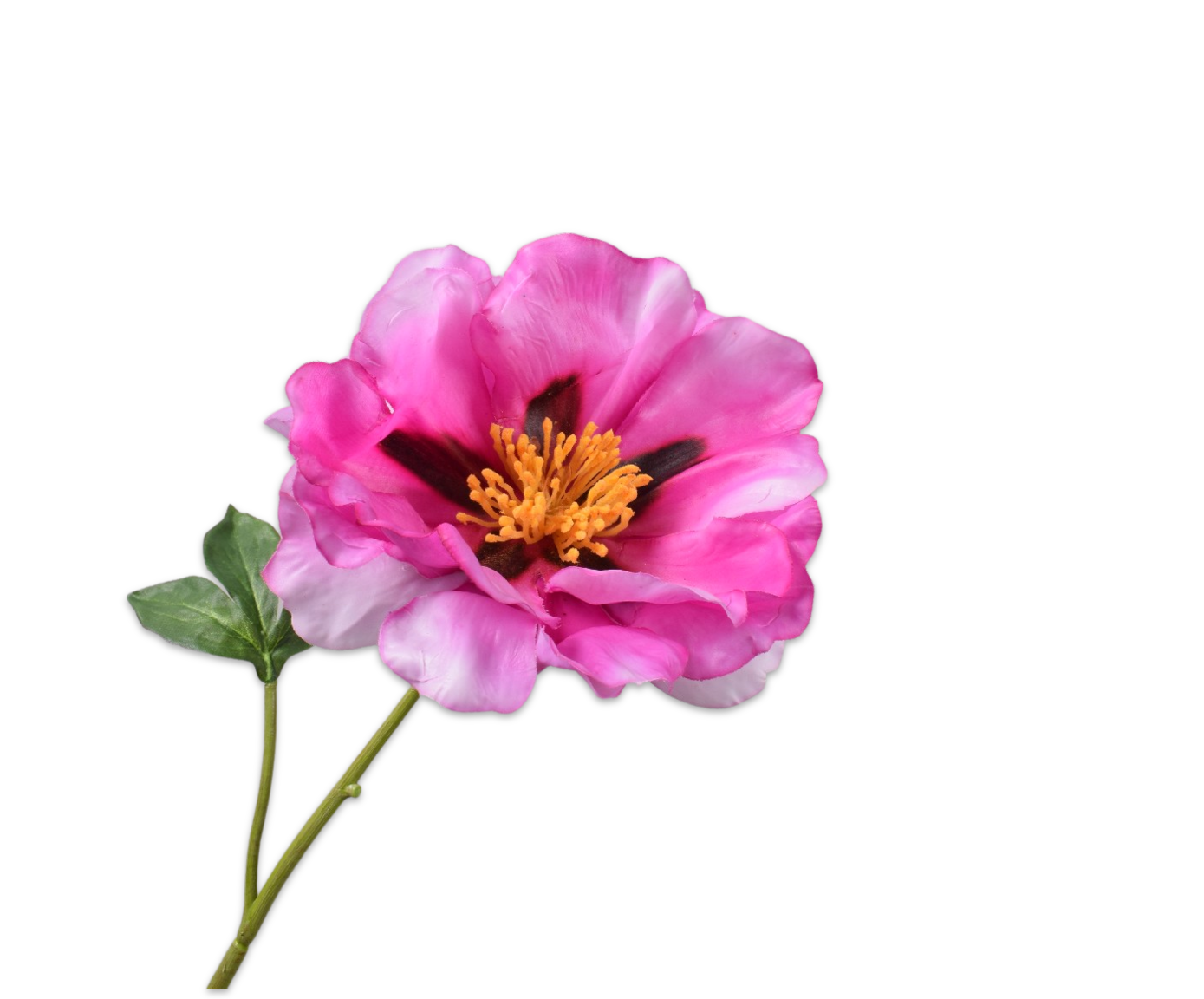 PEONY STEM BEAUTY RT  56 CM