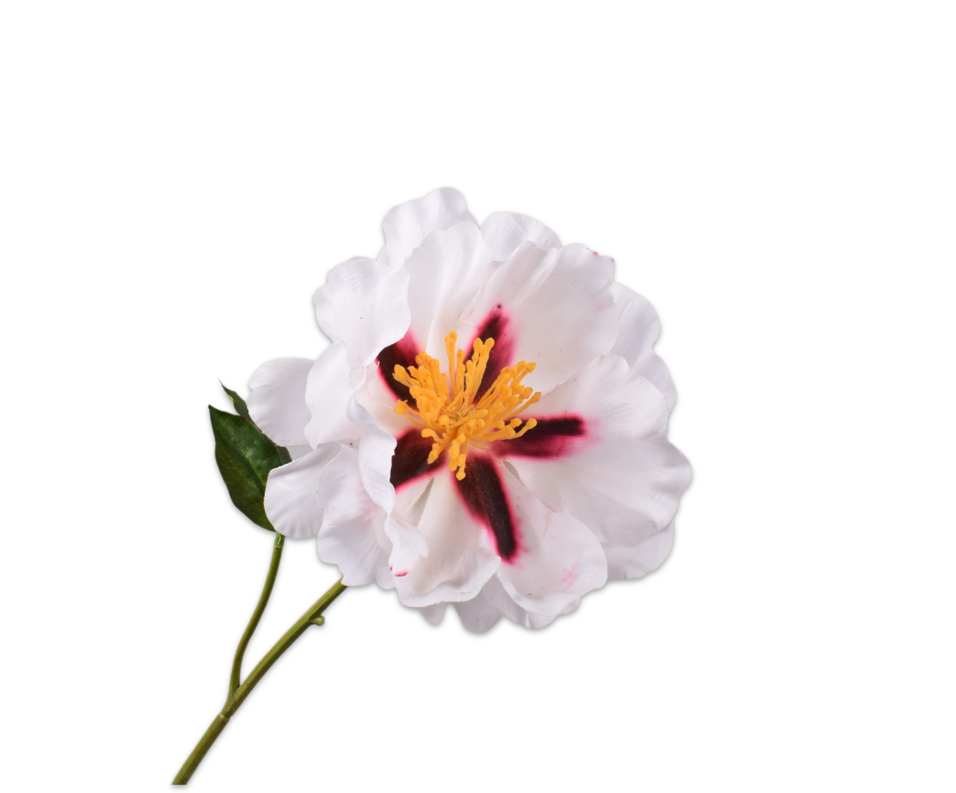 PEONY STEM WHITE RT  56 CM