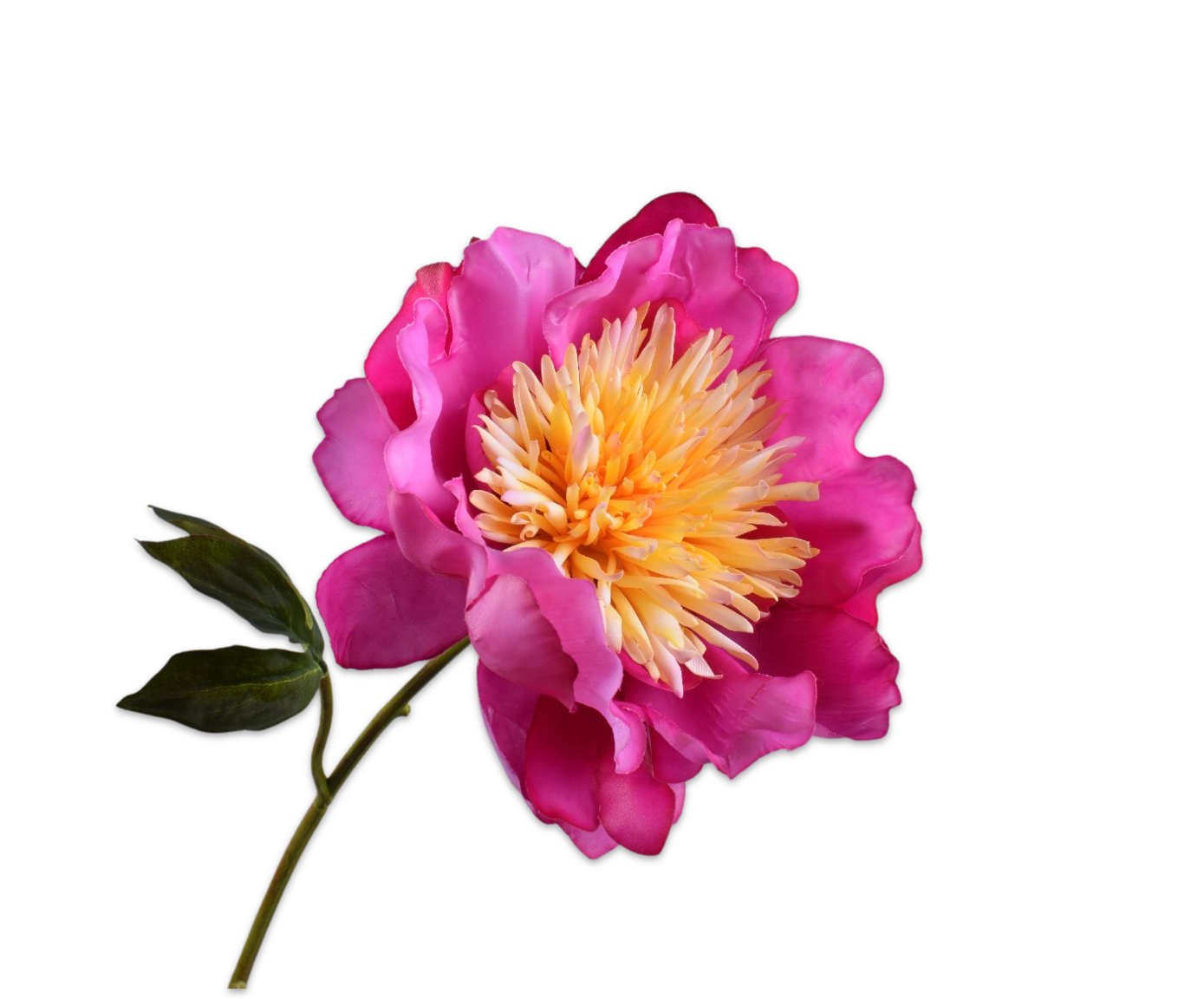 PEONY STEM LAV/CR RT  56 CM