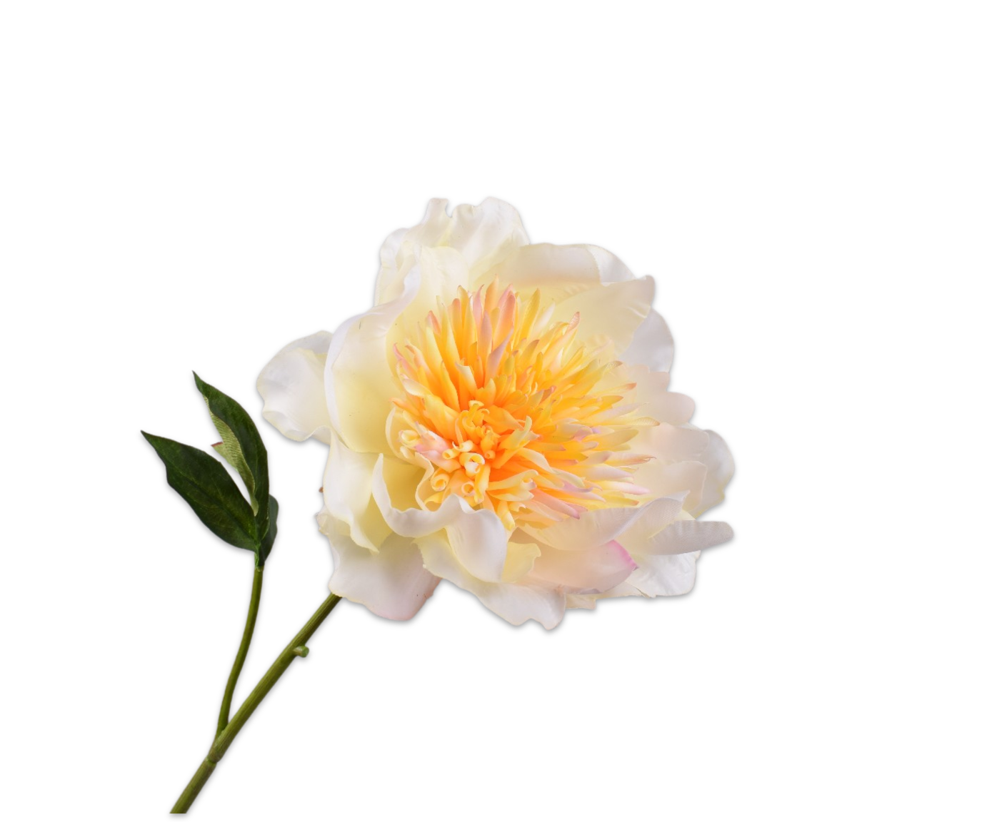 PEONY STEM CREAM RT  56 CM