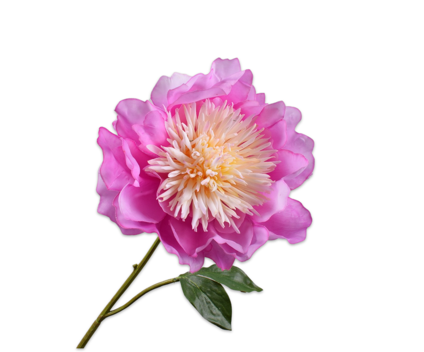 PEONY STEM BEAUTY RT  56 CM