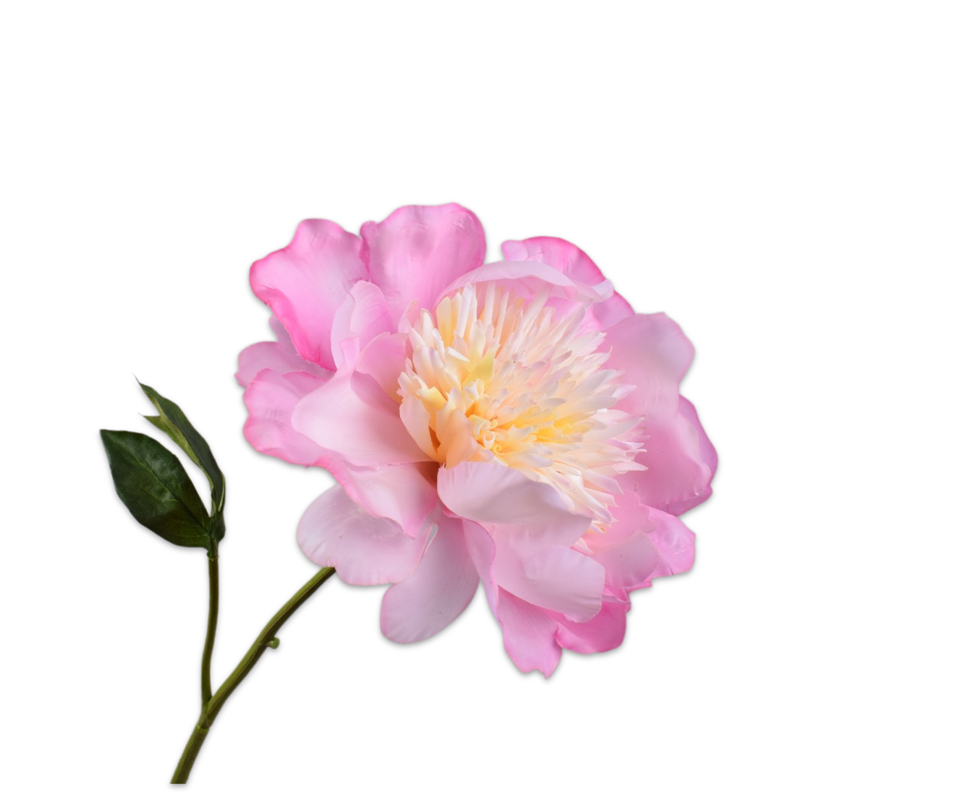 PEONY STEM PINK RT  56 CM