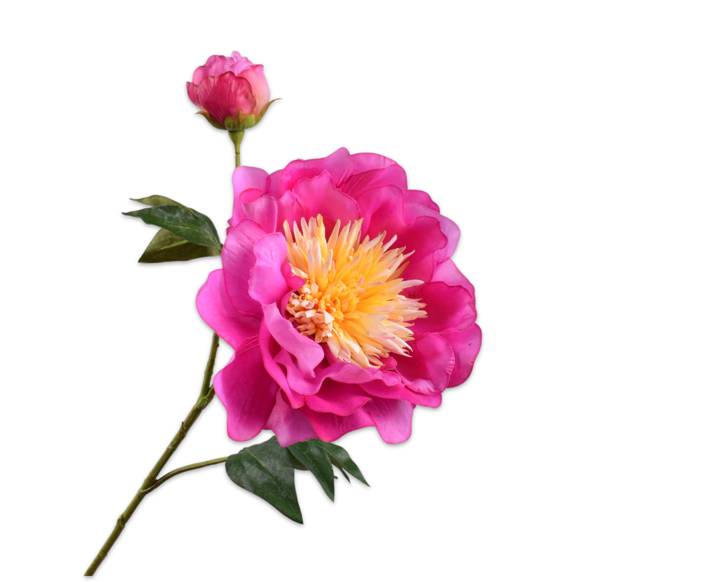 PEONY SPRAY LAV/CR RT  79 CM