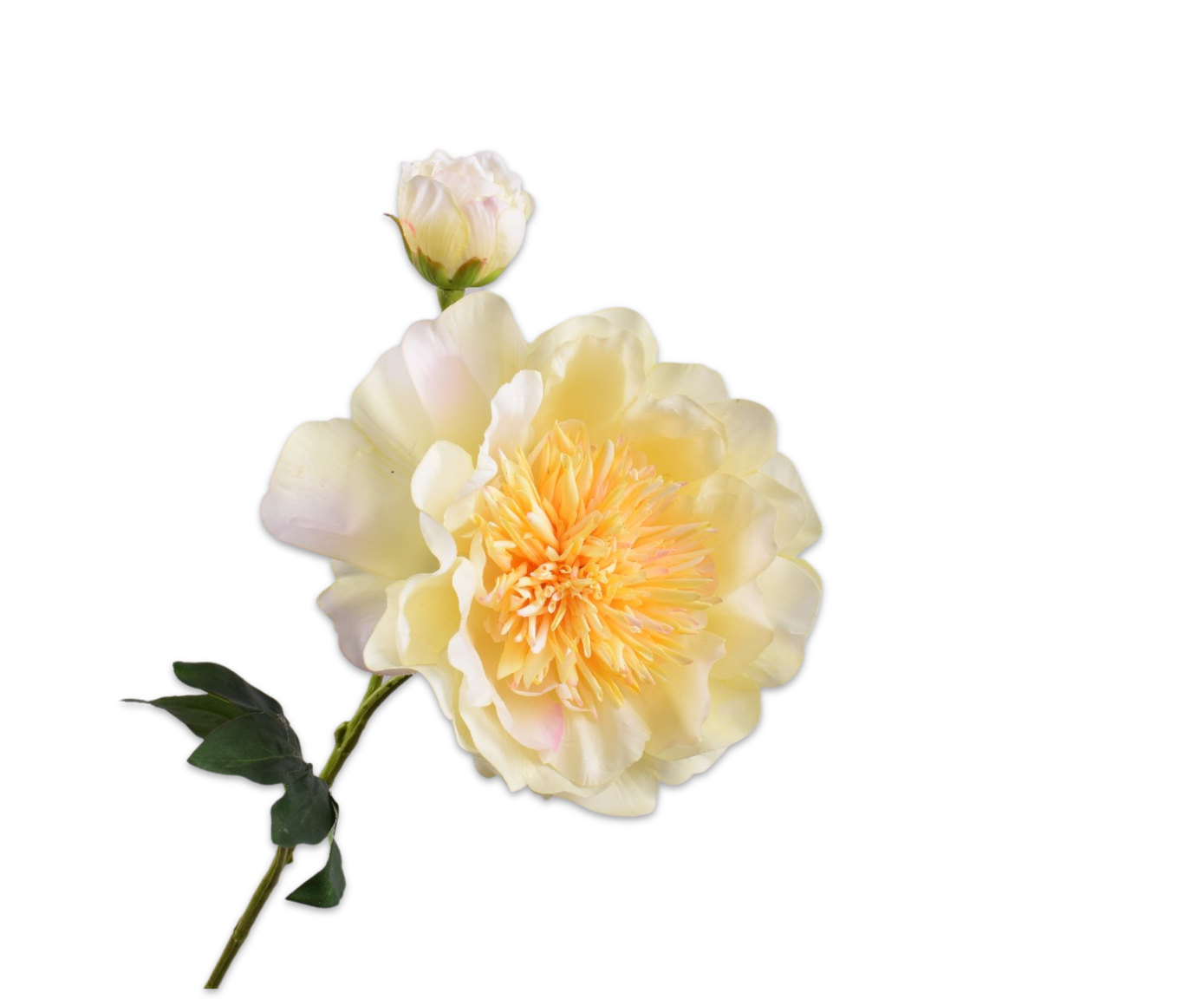 PEONY SPRAY CREAM RT  79 CM