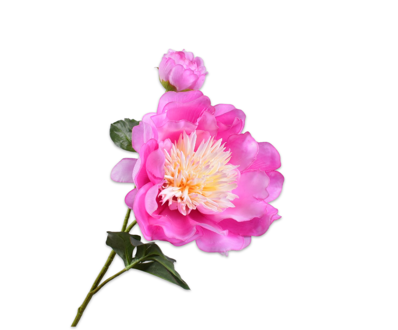 PEONY SPRAY BEAUTY RT  79 CM