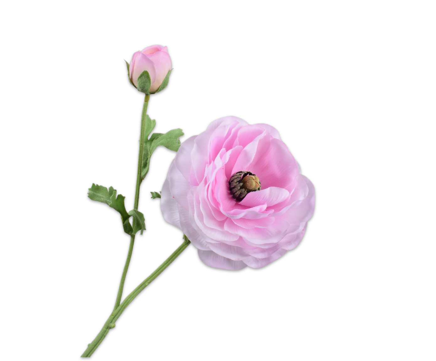 RANUNCULUS SPRAY PINK RT  63 CM