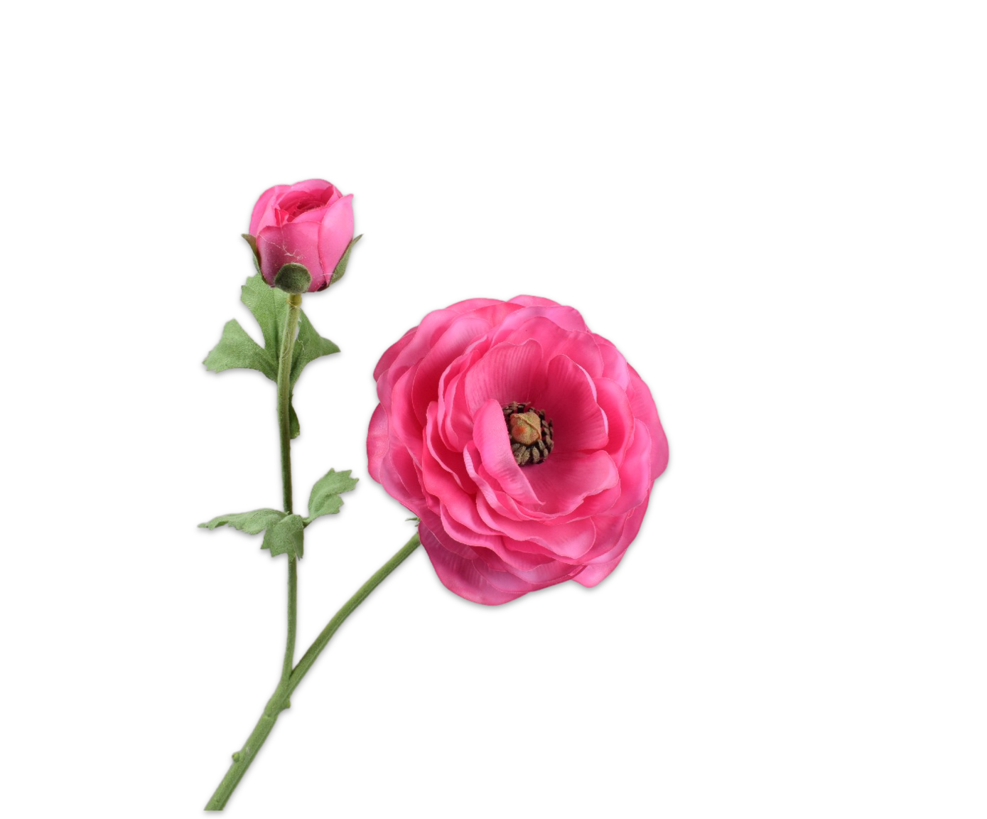 RANUNCULUS SPRAY BEAUTY RT  63 CM