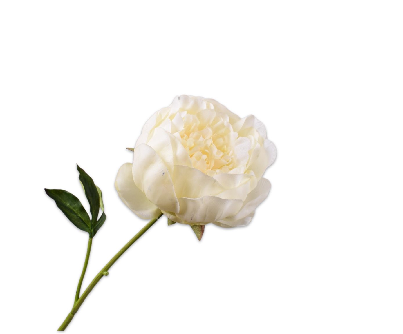 PEONY STEM YLL LT RT  52 CM